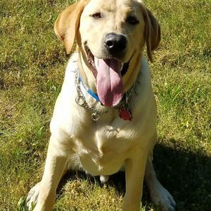 Meet your Posher, Kathy